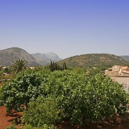 Jaume